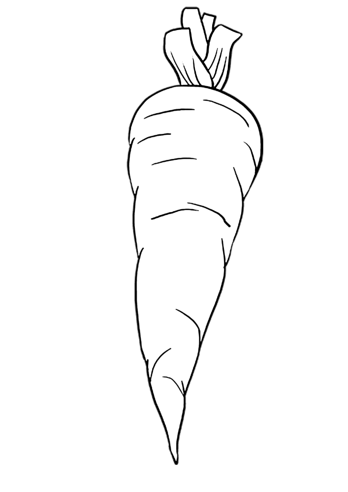 Coloring page Carrot Print